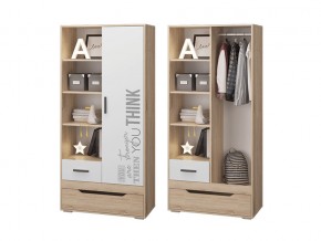 Шкаф для одежды с 2 ящиками в Туринске - turinsk.magazinmebel.ru | фото