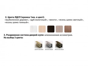 Шкаф-купе Акцент-Сим Д 1200-600 шимо тёмный в Туринске - turinsk.magazinmebel.ru | фото - изображение 3